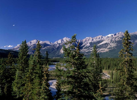 Canada, Alberta, Jasper NP White Modern Wood Framed Art Print with Double Matting by Grandmaison, Mike