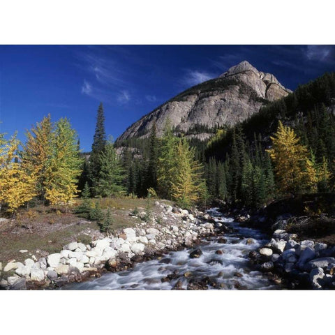 Canada, Alberta, Rampart Creek at Banff NP Black Modern Wood Framed Art Print by Grandmaison, Mike