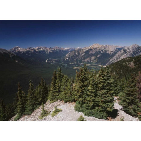 Canada, Alberta, Bow valley in Banff NP Gold Ornate Wood Framed Art Print with Double Matting by Grandmaison, Mike