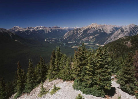 Canada, Alberta, Bow valley in Banff NP White Modern Wood Framed Art Print with Double Matting by Grandmaison, Mike