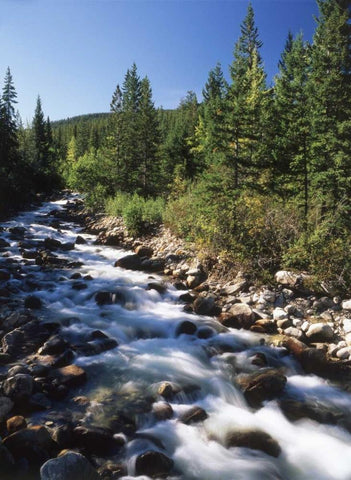 Canada, Alberta, mountain stream in Jasper NP White Modern Wood Framed Art Print with Double Matting by Grandmaison, Mike