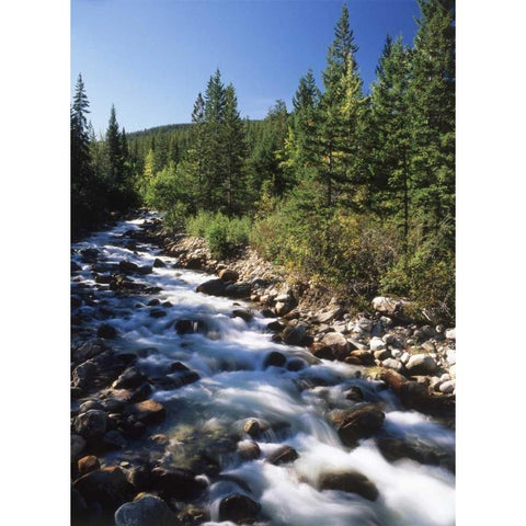 Canada, Alberta, mountain stream in Jasper NP Black Modern Wood Framed Art Print by Grandmaison, Mike