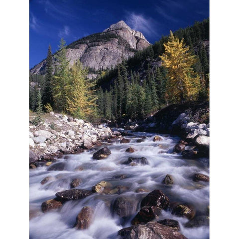 Canada, Alberta, Banff NP White Modern Wood Framed Art Print by Grandmaison, Mike