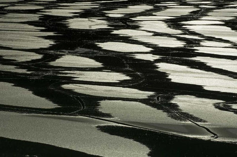 Canada, Jasper NP Pattern of water on ice Black Ornate Wood Framed Art Print with Double Matting by Grandmaison, Mike