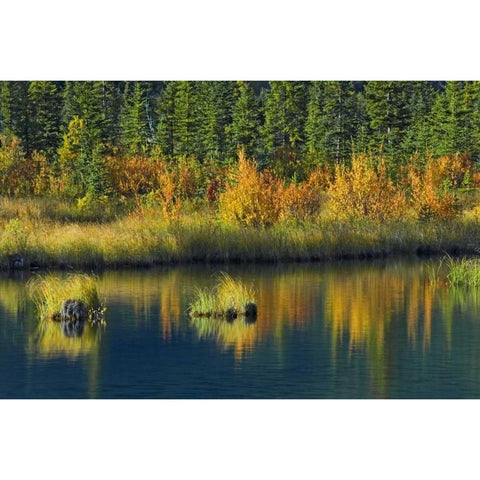 Canada, Banff NP Vermillion Lake in fall White Modern Wood Framed Art Print by Grandmaison, Mike