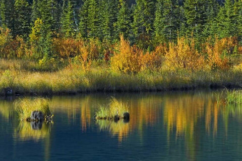 Canada, Banff NP Vermillion Lake in fall White Modern Wood Framed Art Print with Double Matting by Grandmaison, Mike