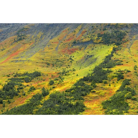 Canada, Alberta Autumn in the Canadian Rocky Mts Black Modern Wood Framed Art Print by Grandmaison, Mike