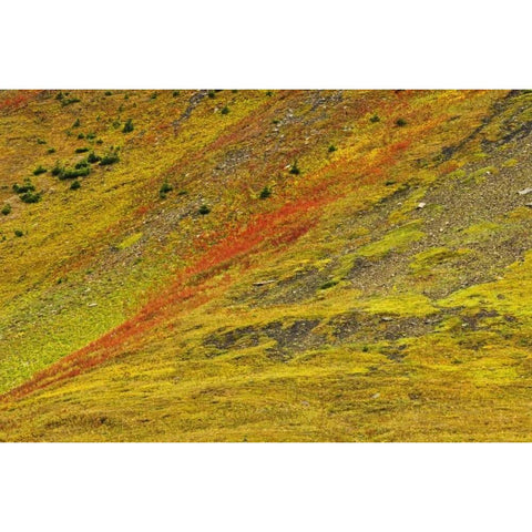 Canada, Alberta Autumn in the Canadian Rocky Mts Black Modern Wood Framed Art Print by Grandmaison, Mike