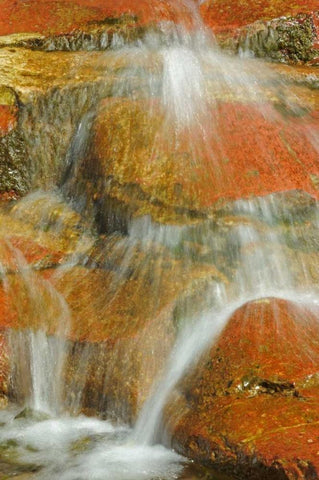 Canada, Alberta, Stream in Red Rock Canyon White Modern Wood Framed Art Print with Double Matting by Grandmaison, Mike