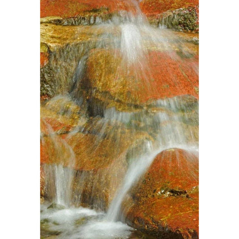 Canada, Alberta, Stream in Red Rock Canyon Black Modern Wood Framed Art Print by Grandmaison, Mike