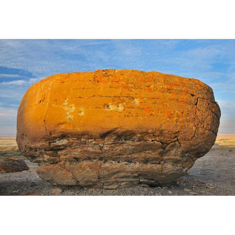 Canada, Red Rock Coulee Sandstone concretion Black Modern Wood Framed Art Print by Grandmaison, Mike