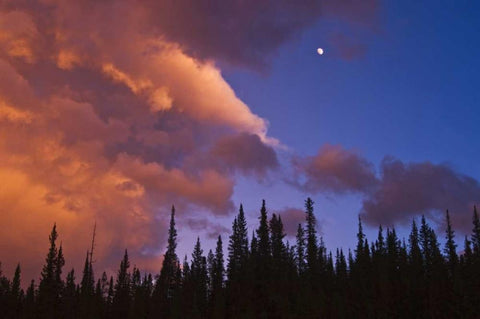 Canada, Alberta, Jasper NP Clouds over forest Black Ornate Wood Framed Art Print with Double Matting by Grandmaison, Mike
