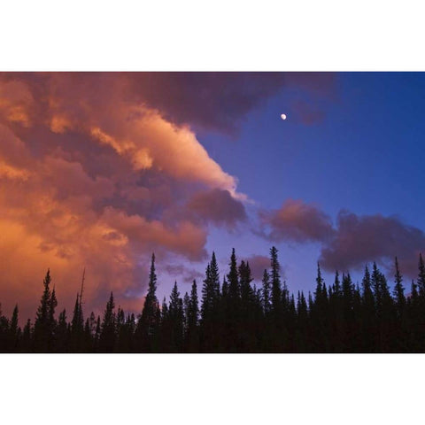 Canada, Alberta, Jasper NP Clouds over forest Black Modern Wood Framed Art Print by Grandmaison, Mike