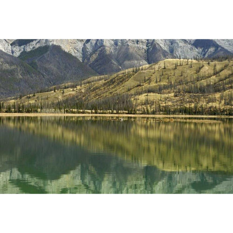 Canada, Jasper NP Reflection on Talbot Lake Black Modern Wood Framed Art Print by Grandmaison, Mike