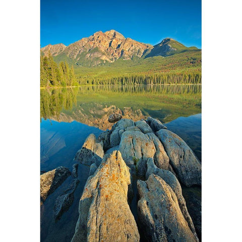 Canada-Alberta-Jasper National Park Pyramid Mountain and reflections on Pyramid Lake Black Modern Wood Framed Art Print by Jaynes Gallery