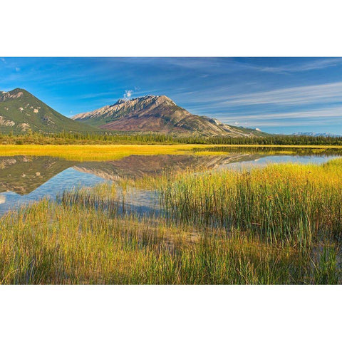 Canada-Alberta-Jasper National Park Reflections in Jasper Lake Black Modern Wood Framed Art Print by Jaynes Gallery