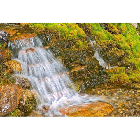 Canada-Alberta-Banff National Park Creek and waterfall scenic White Modern Wood Framed Art Print by Jaynes Gallery