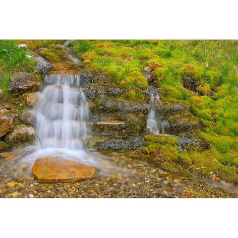 Canada-Alberta-Banff National Park Creek and waterfall scenic Black Modern Wood Framed Art Print by Jaynes Gallery