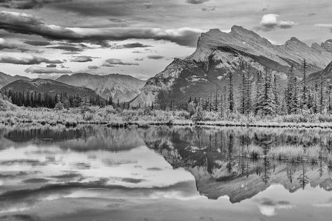 Canada-Alberta-Banff National Park Mt Rundle reflected in Vermillion Lakes Black Ornate Wood Framed Art Print with Double Matting by Jaynes Gallery