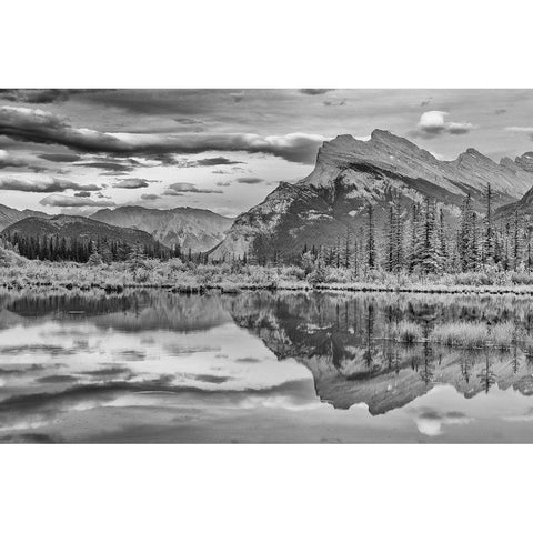 Canada-Alberta-Banff National Park Mt Rundle reflected in Vermillion Lakes Black Modern Wood Framed Art Print by Jaynes Gallery