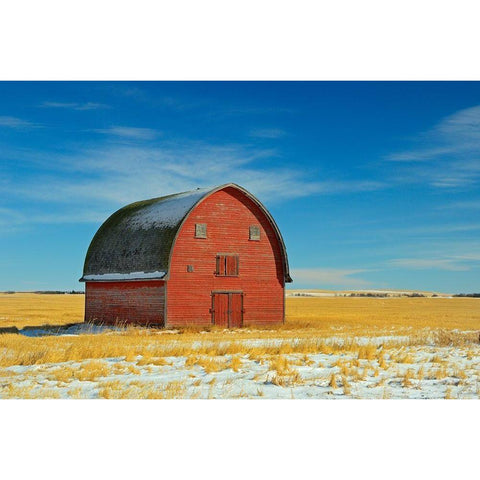 Canada-Alberta-Vulcan Red barn in winter Black Modern Wood Framed Art Print by Jaynes Gallery