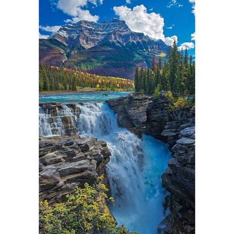 Canada-Alberta-Jasper National Park Athabasca River at Athabasca Falls Black Modern Wood Framed Art Print by Jaynes Gallery