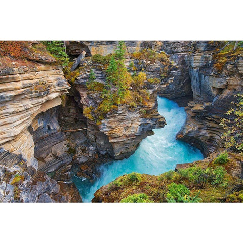 Canada-Alberta-Jasper National Park Athabasca River at Athabasca Falls Black Modern Wood Framed Art Print by Jaynes Gallery
