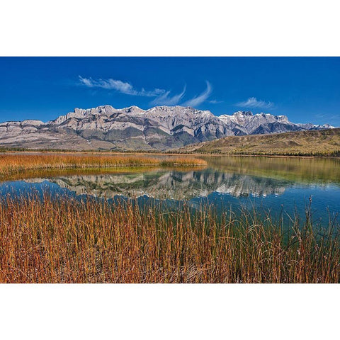 Canada-Alberta-Jasper National Park Reflections in Talbot Lake Black Modern Wood Framed Art Print by Jaynes Gallery