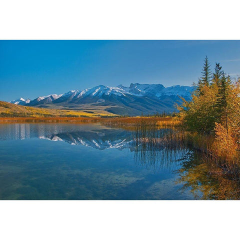 Canada-Alberta-Jasper National Park Reflections in Talbot Lake Black Modern Wood Framed Art Print by Jaynes Gallery