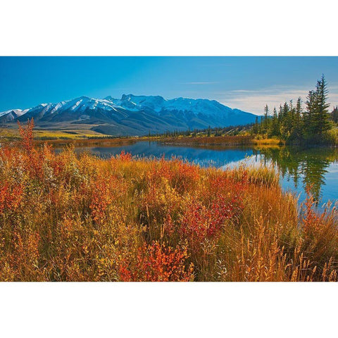 Canada-Alberta-Jasper National Park Reflections in Talbot Lake Black Modern Wood Framed Art Print by Jaynes Gallery