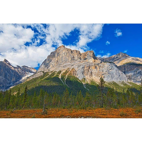 Canada-Alberta-Yoho National Park The President Range mountain landscape Black Modern Wood Framed Art Print by Jaynes Gallery