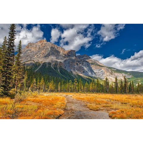 Canada-Alberta-Yoho National Park The President Range mountain and water landscape Black Modern Wood Framed Art Print by Jaynes Gallery
