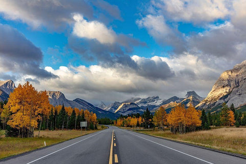 Morning light on Highway 40 in Kananaskis Country-Alberta-Canada White Modern Wood Framed Art Print with Double Matting by Haney, Chuck
