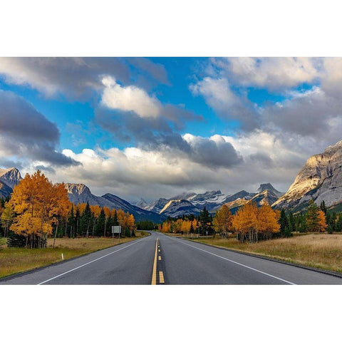 Morning light on Highway 40 in Kananaskis Country-Alberta-Canada Black Modern Wood Framed Art Print by Haney, Chuck