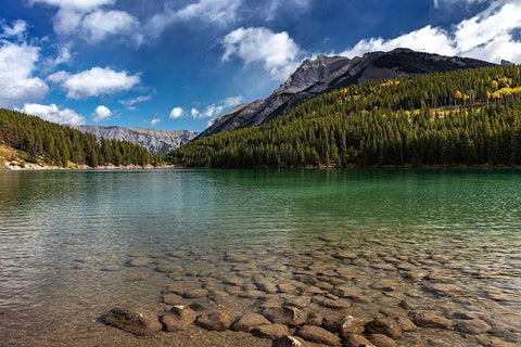 Two Jack Lake in Banff National Park-Canada Black Ornate Wood Framed Art Print with Double Matting by Haney, Chuck