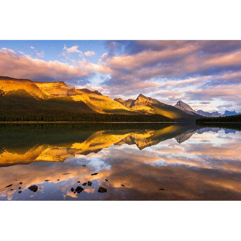 Evening light on Maligne Lake and Sampson Peak-Jasper National Park-Alberta-Canada Black Modern Wood Framed Art Print by Bishop, Russ