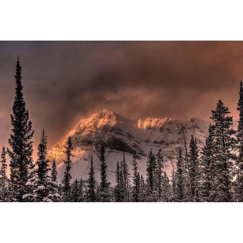 Canadian Rockies-Alberta-Canada Black Modern Wood Framed Art Print by Steve Mohlenkamp
