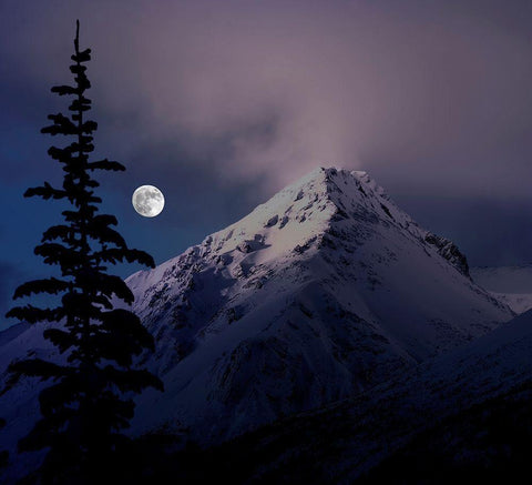 Moonrise over the Canadian Rocky Mountains in Jasper National Park-Alberta-Canada Black Ornate Wood Framed Art Print with Double Matting by Steve Mohlenkamp