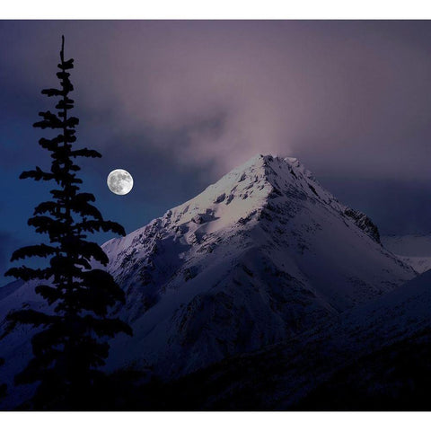 Moonrise over the Canadian Rocky Mountains in Jasper National Park-Alberta-Canada Black Modern Wood Framed Art Print with Double Matting by Steve Mohlenkamp