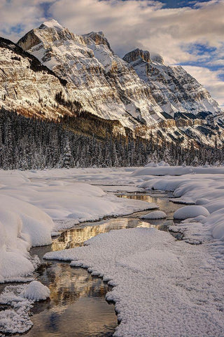 Winter in Jasper National Park-Alberta-Canada White Modern Wood Framed Art Print with Double Matting by Steve Mohlenkamp
