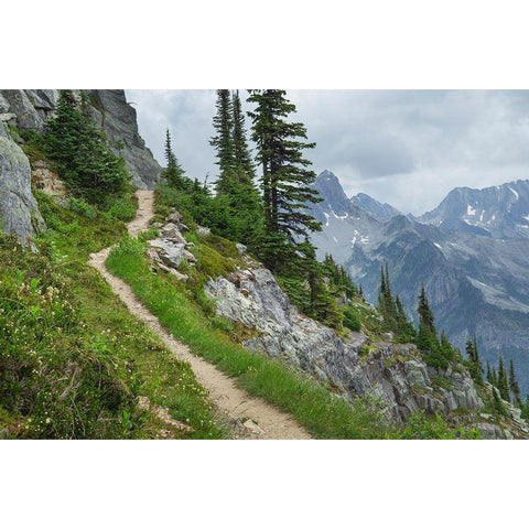 Abbott Ridge Trail along cliffs below Mount Abbott Selkirk Mountains Glacier National Park White Modern Wood Framed Art Print by Majchrowicz, Alan