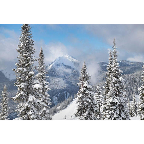 North Cascades in fresh winter snow Manning Provincial Park-British Columbia White Modern Wood Framed Art Print by Majchrowicz, Alan