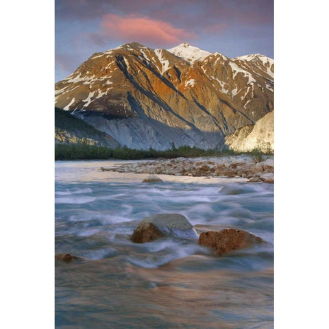 Canada, British Columbia, Alsek River Valley Gold Ornate Wood Framed Art Print with Double Matting by Paulson, Don
