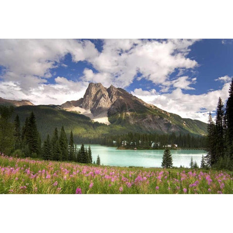 Canada, BC, Yoho NP View of Emerald Lake Black Modern Wood Framed Art Print by Paulson, Don