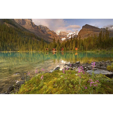 Canada, Yoho NP Lodge and forest by Lake Ohara Black Modern Wood Framed Art Print with Double Matting by Paulson, Don