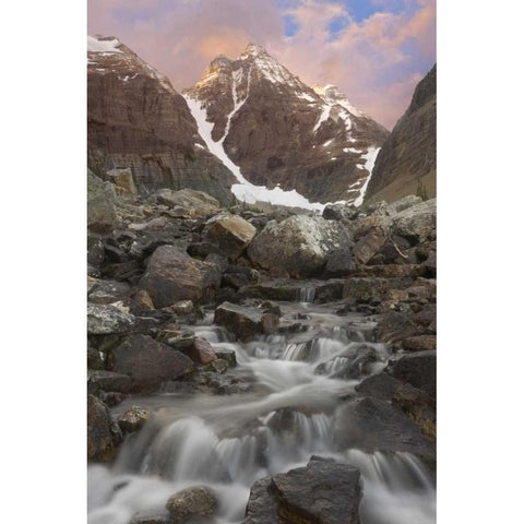 Canada, Yoho NP Small rapids and Cathedral Mt Black Modern Wood Framed Art Print by Paulson, Don