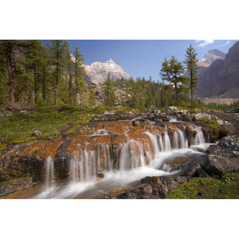 Canada, BC, Yoho NP, Opabin Terrace Waterfall Black Modern Wood Framed Art Print by Paulson, Don