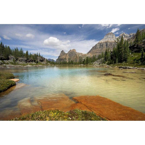 Canada, BC, Yoho NP Opabin Terrace Pools Gold Ornate Wood Framed Art Print with Double Matting by Paulson, Don