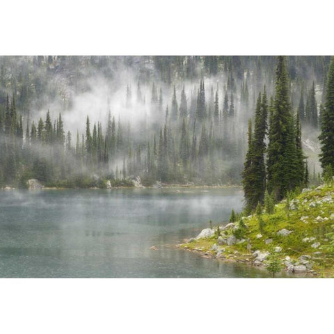 Canada, BC, Revelstoke NP Fog on Lake Eva Black Modern Wood Framed Art Print by Paulson, Don