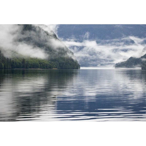Canada, BC, Fog-shrouded forest by ocean inlet Black Modern Wood Framed Art Print by Paulson, Don